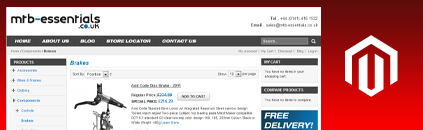 Ecommerce ecommerce